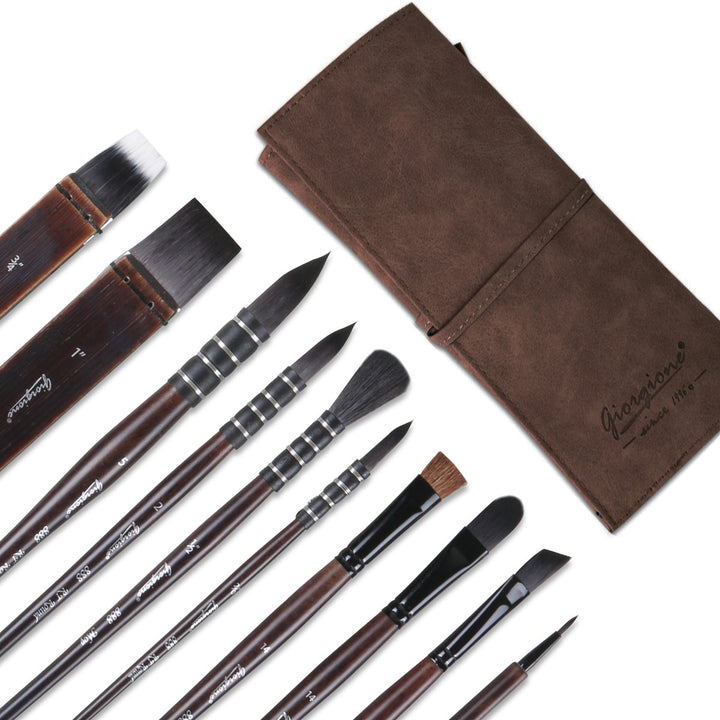 Professional 11-Piece Brush Set with Bag