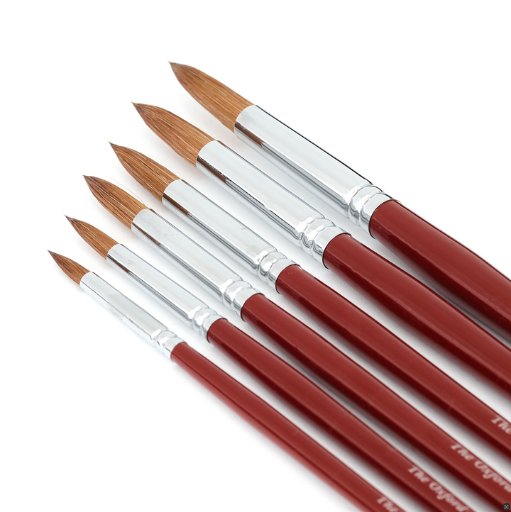 Set of 6 Sable Artist Brushes - 'The Oxford' Round Head Brush