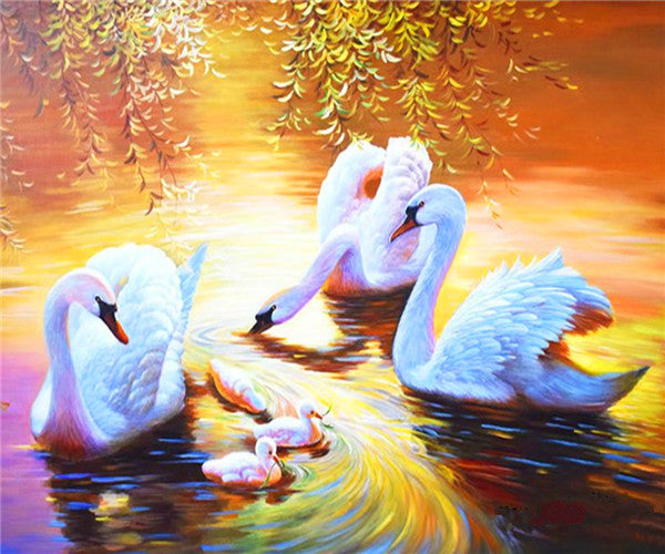 Premium Paint by Number Kit - FRAMED & UNFRAMED - Swans in Sunset - 40cm x 50cm